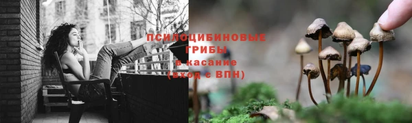 Альфа ПВП Баксан