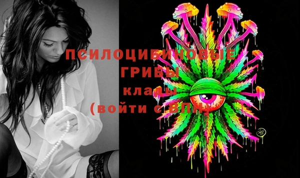 Альфа ПВП Баксан