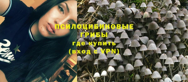 твердый Балахна
